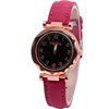 Starry sky, women's watch, fashionable golden quartz swiss watch, belt, Korean style, pink gold