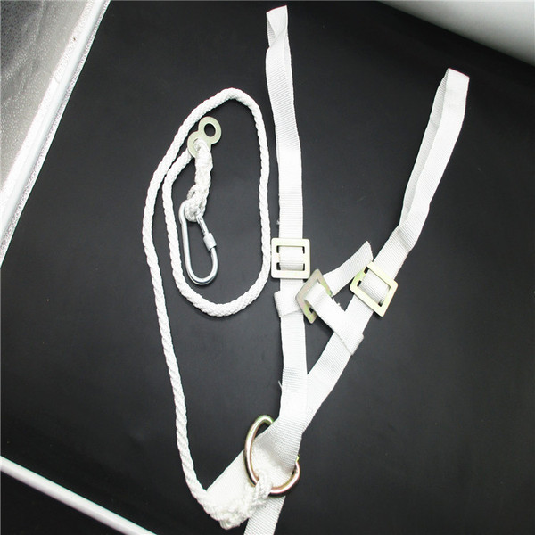 Safe protective seat belt