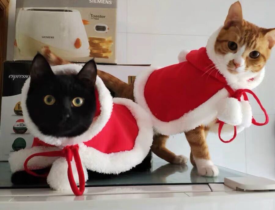 Новогодняя Одежда Для Кошек