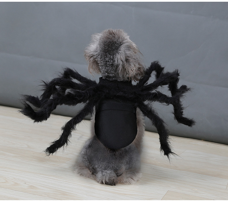 Pet Spider Costume Image 1