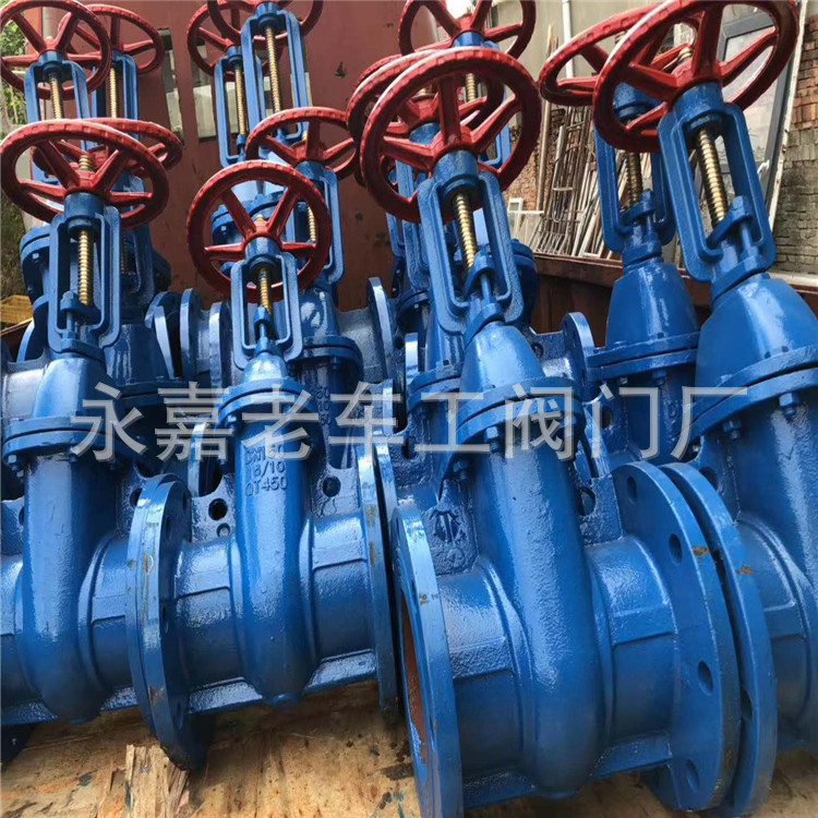 铜芯防护闸阀 大体小体铜芯闸阀 DN100 明杆铜芯闸阀 Z41T-16Q