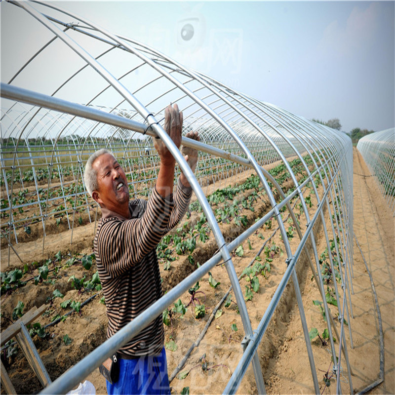 农用蔬菜大棚 薄膜连栋温室 日光大棚 大棚骨架 温室设备 