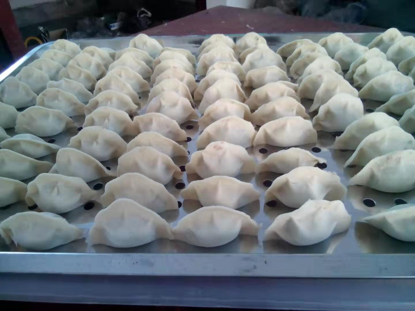 厂家推荐YPJ380高速变频全自动仿手工饺子机蒸饺机煎饺机