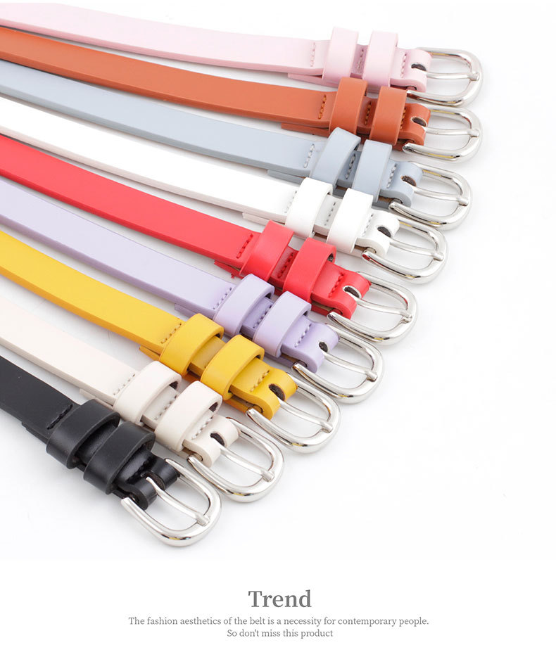 Thin Belt Dress Decoration Small Belt Wild Lady Pin Buckle Belt Belt Wholesale display picture 8