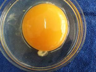 Яйца, разведенные яйцами, представляют собой изысканные яйца.