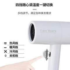 New Style 24-Hour Electric Hair Dryer Household High Power Dorm Student Influencer Hair Dryer Cool & Hot Wind Salon Haircut Shop