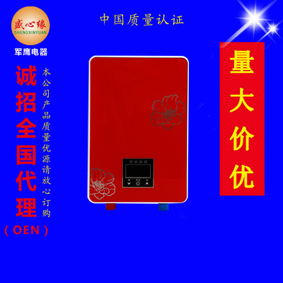 Manufactor Supplying Wall mounted heater household take a shower small-scale constant temperature Super Hot heater