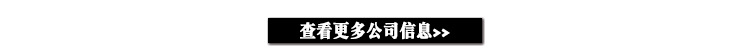 国内版intro2