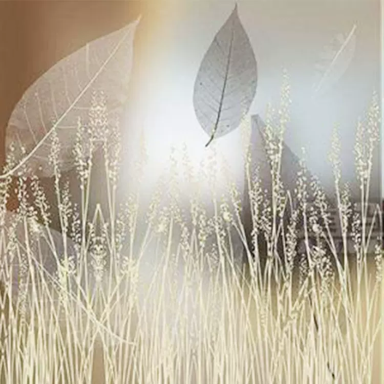 夹丝玻璃 艺术玻璃 装饰背景玻璃 夹层夹胶玻璃 广州