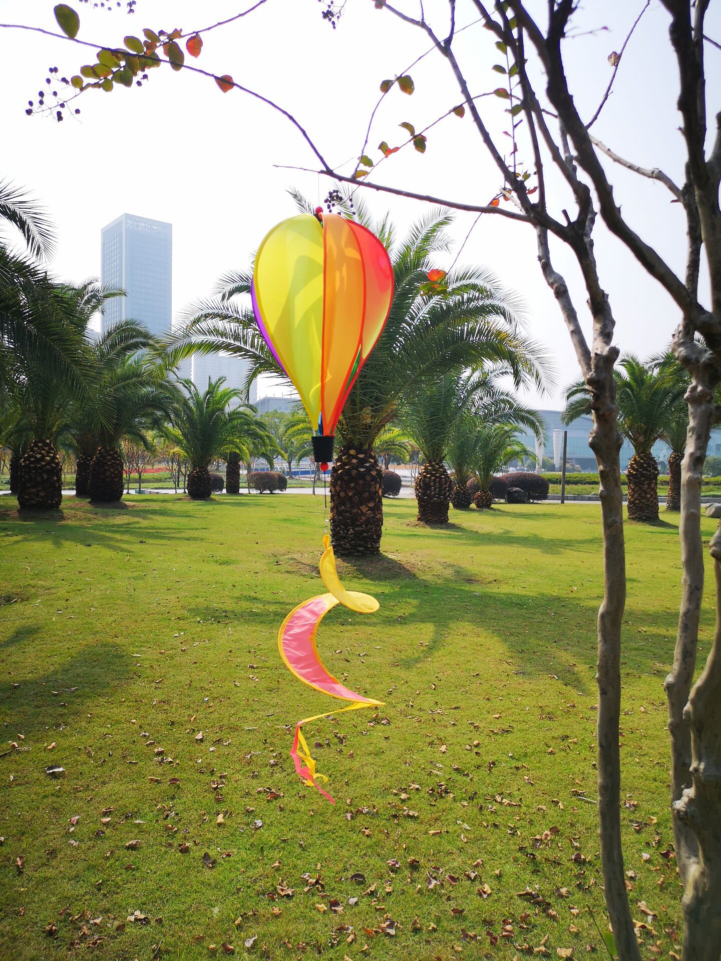 QQ图片20191105114914