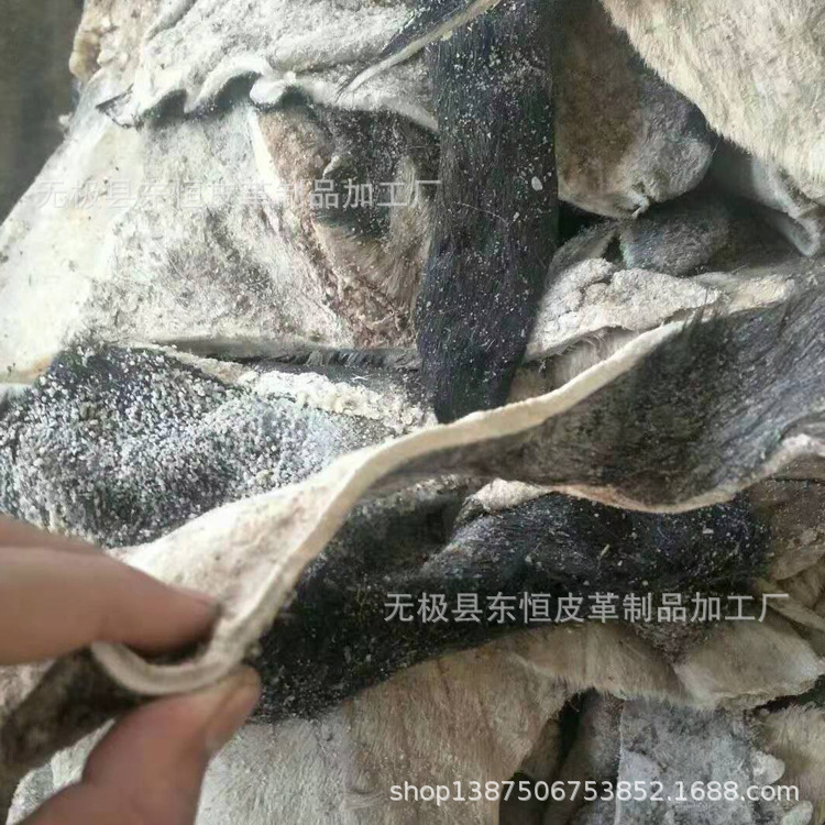 黄牛皮 明胶原材料 黄牛皮 盐湿 毛腿皮块 边角料 黄明胶原材料