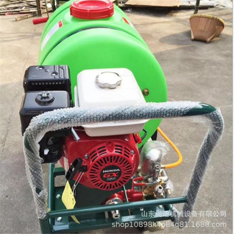 海南多规格手推式打药机 性能稳定便携式果园树木杀虫专用打药机
