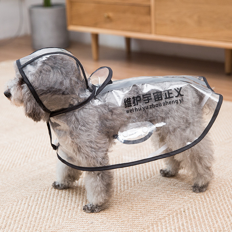 Salvaguardar la justicia cósmica