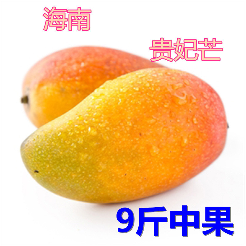Hainan Royal fresh fruit Hongjinlong Mango 9 pounds Explosive money wholesale agent On behalf of