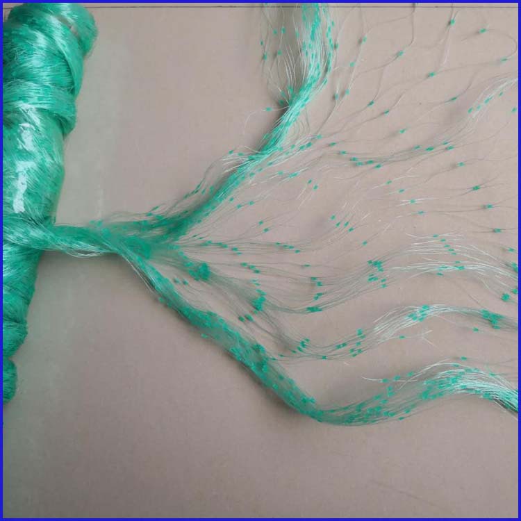 d637c970bcc70b1a0cb346a2f57197