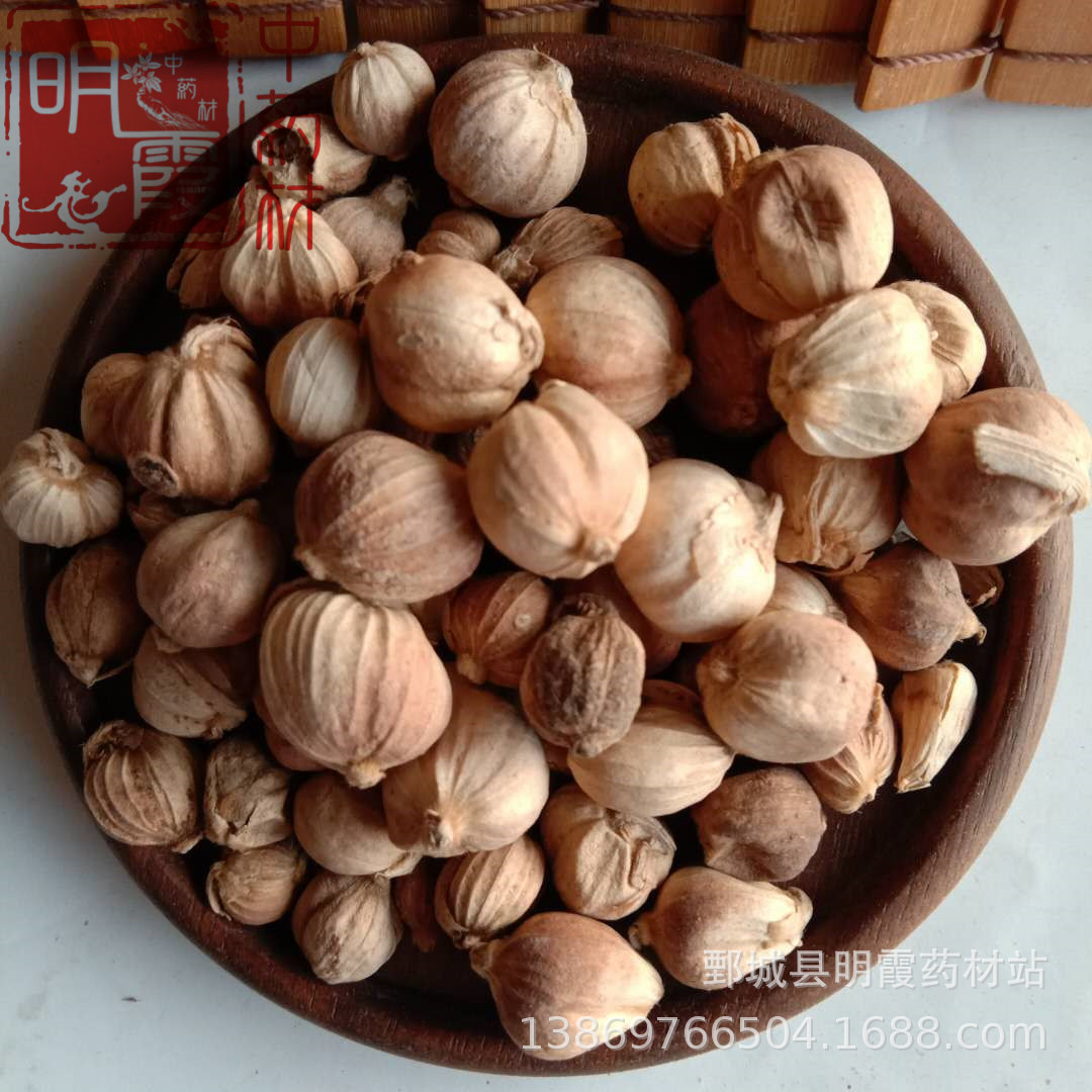 明霞 【白豆蔻】1000克 批发零售 供应中药材