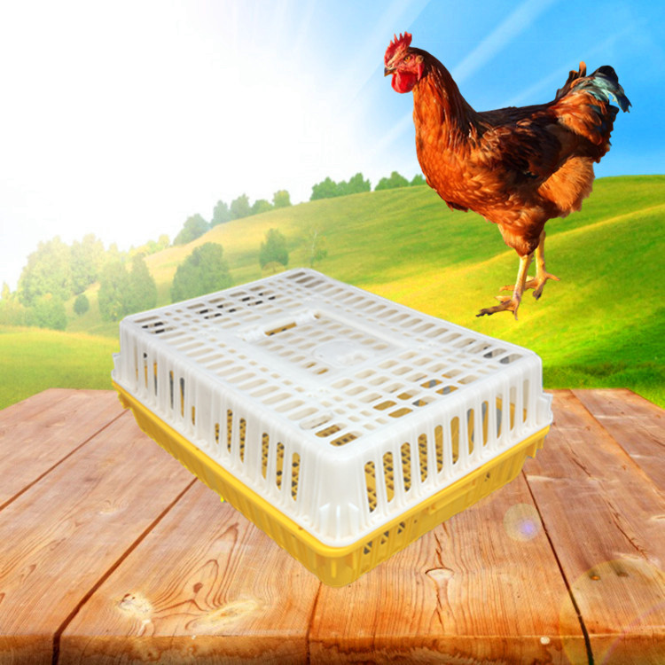 供应深圳 香港塑料周转鸡笼 养殖运输筐畜牧专用塑胶框加厚鸡笼