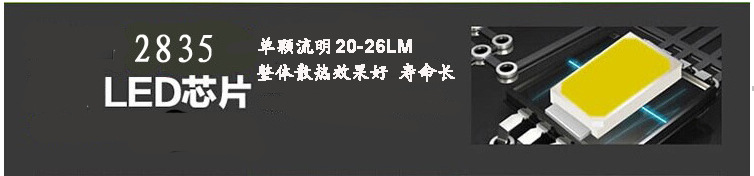 5730芯片 拷贝.jpg