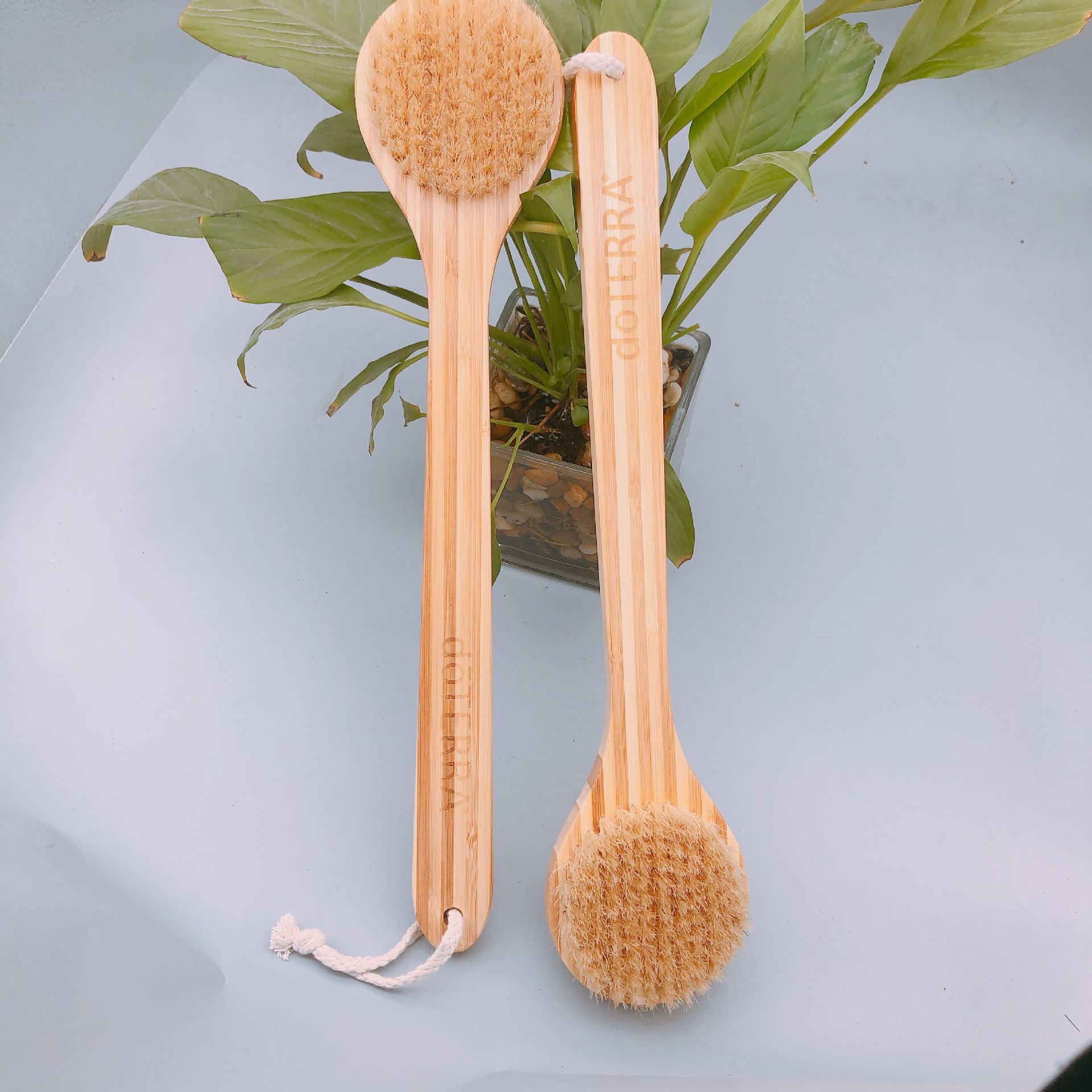 187bcb8fcae4808d25b4a0af2fe401