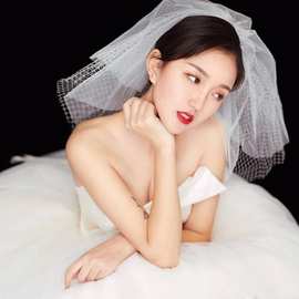 新款韩式简约多层网纱蓬蓬短款新娘结婚婚纱旅拍仙软纱蕾丝头纱