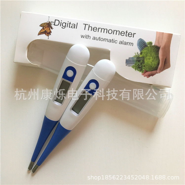 flexible thermometer (1)