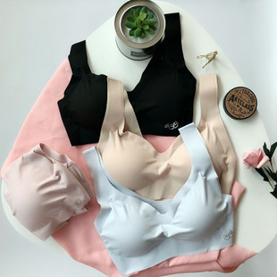 2024�ձ����z�������؃��¿����o�ۃ��o�Ȧ�����\�Ӱ���15��