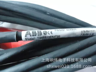 ABB电极 AP30.3/5.0.0.2.0.00.1./STD