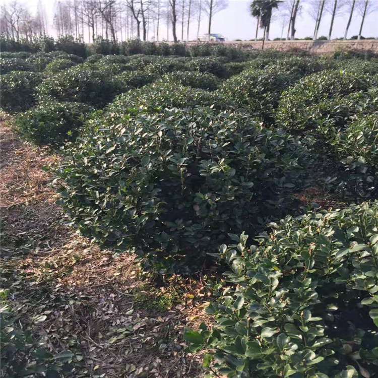 微信图片_20190924001106