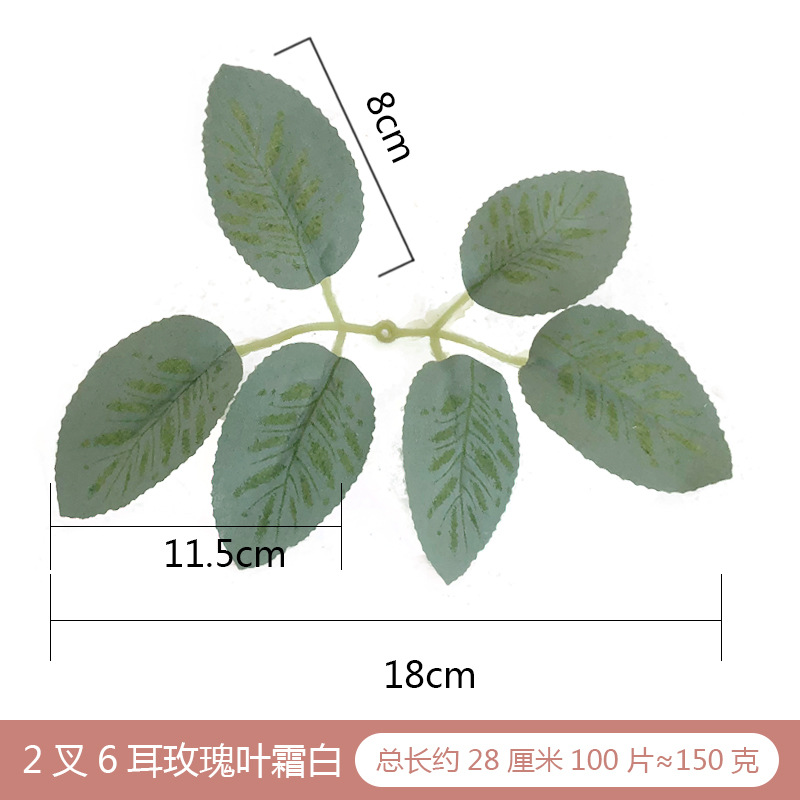 霜白玫瑰叶