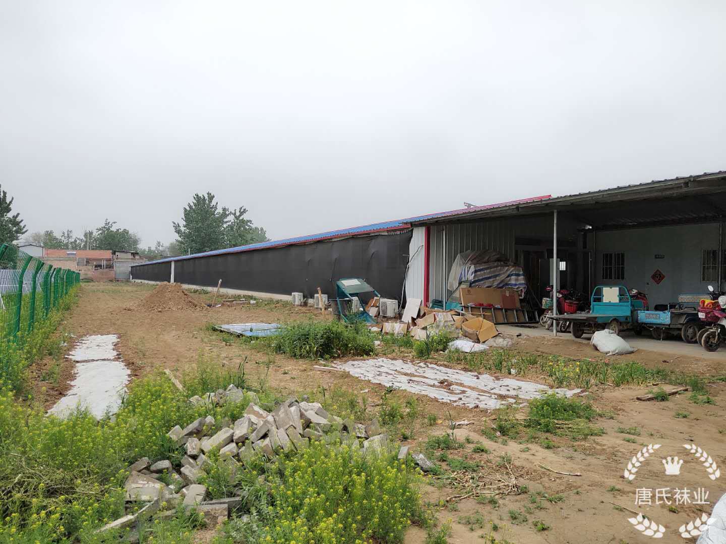 fb28f14f5ac9d71173b89957778585