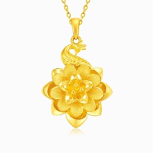 �S�~�24L����ȸ���S����� ����ɰ�𻨶����Ʒ���i���Ů