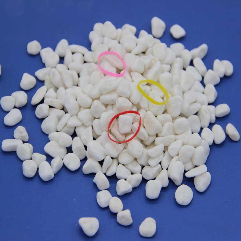 白色小石头 机制水磨白石子 汉白玉碎石 鱼纲装饰园艺铺路卵石