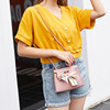 Small bag, one-shoulder bag for leisure, fresh lock, 2019, Korean style