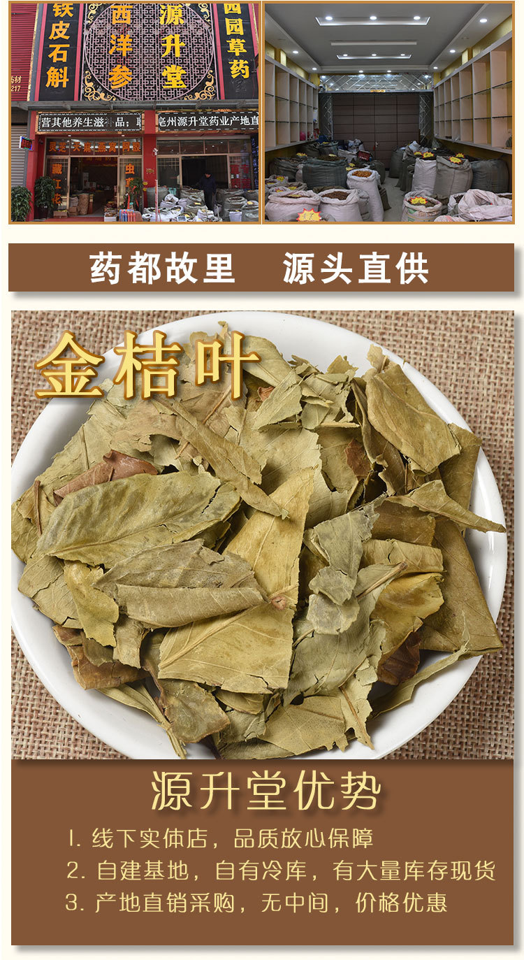 Jin Ju Ye (Kumquat Leaf) — Dried Food Herb, Unsulfured New Crop, 500g overview