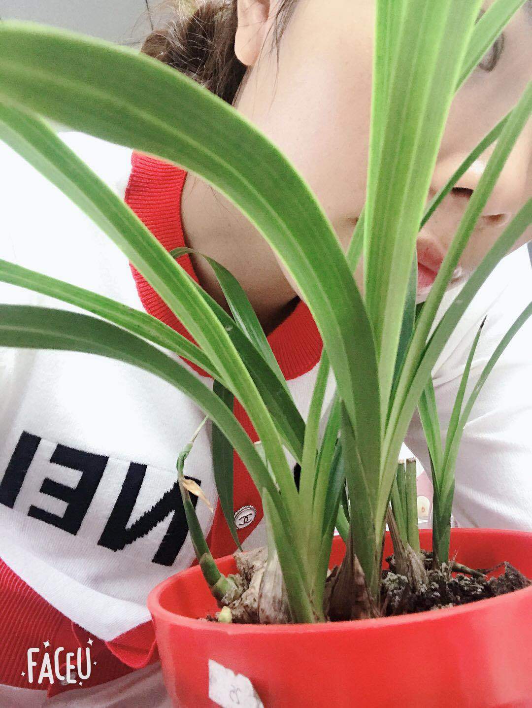 Pull femme en Laine - Ref 3414133 Image 12