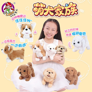 Q004-Q009������늄ӷ���ë�q������؈̩�Ϲ����»���ߌ���ģ��