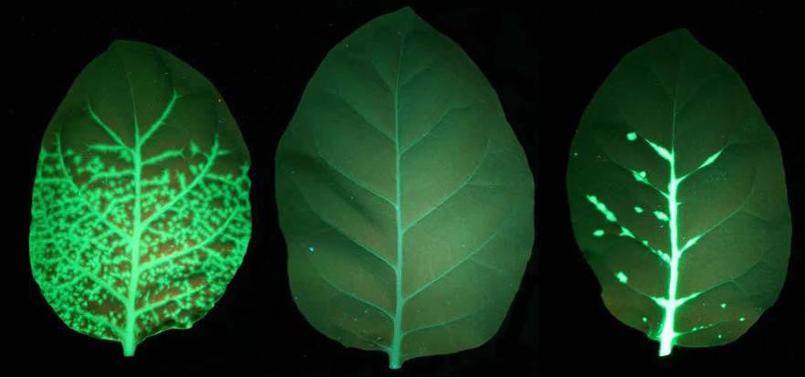 LUYOR-3430�ֵ�Ͳʽ������Դ,ʵ���Ҽ�����Դ