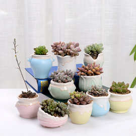 创意多肉流釉透气拇指小花盆 清新简约窑变多肉彩色植物陶瓷花盆