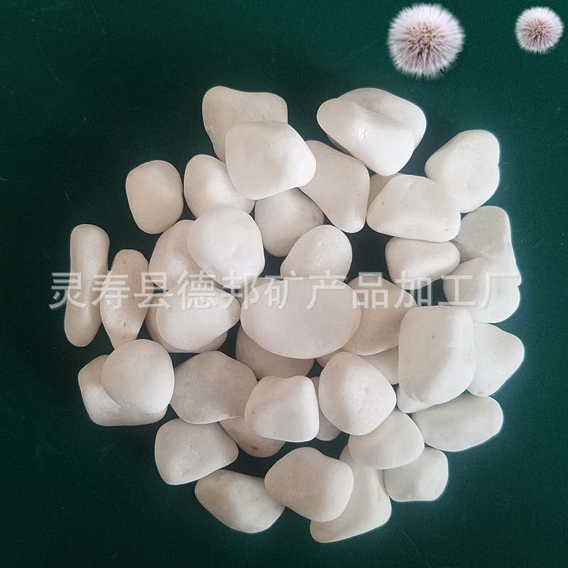 20190422_123040_副本.jpg