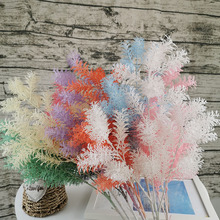 �Fڡ���滨���b ���W�W�t�������F��ᘲ� ��c���滨ģ�����컨