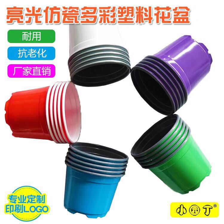 Plastic pots Succulent 100 Gardener Base PP Flower pot Double color Plastic pots white Seedling Basin