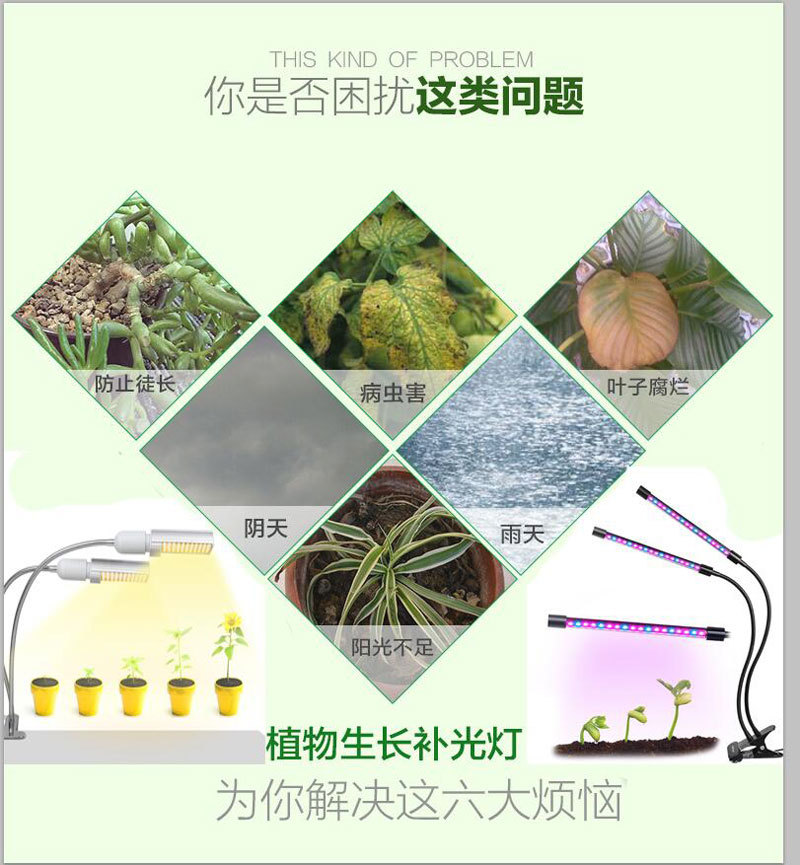 QQ图片20190509190024