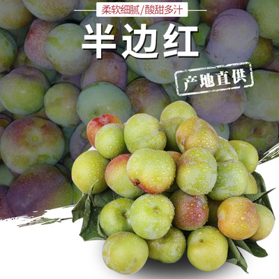 峨眉半边红 李子布林 果园现摘现发 新鲜直达 营养丰富|ms