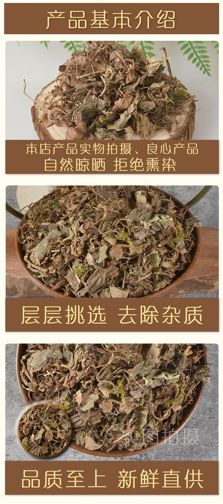 Hu Er Cao (Saxifraga stolonifera) — Dried Strawberry Saxifrage Herb, 500g key features