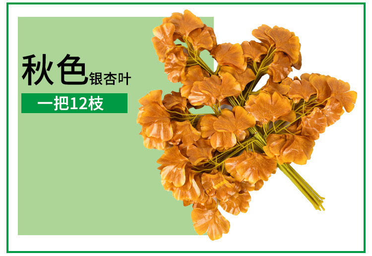 10703445247_237492366