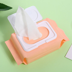 Wholesale Makeup Removal Wipes, Disposable Single-Use No-Rinse Portable Cleansing Towels – 120-Wipe Pack