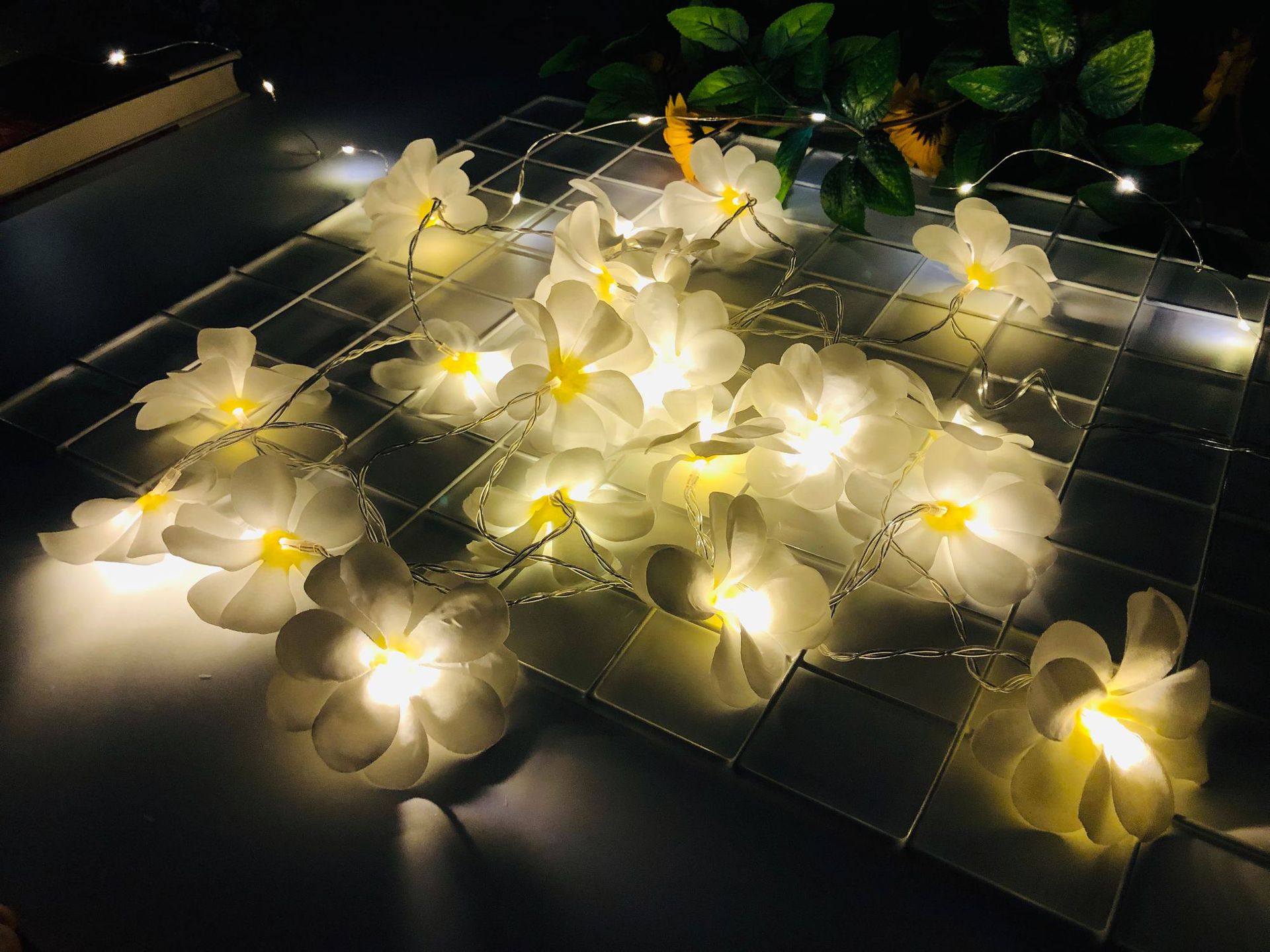 IMG_5454(20190530-180432)