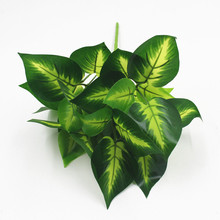 ����ֲ��Gֲ�����5���u���~�����^�z�����~���S�ľG�}�~���l