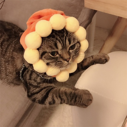 Корона для кошек Pet Taro (средний размер)