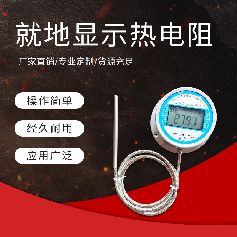 化工厂水泥厂钢厂铝厂电厂锅炉配套用就地显示热电阻 WZPB-231SF